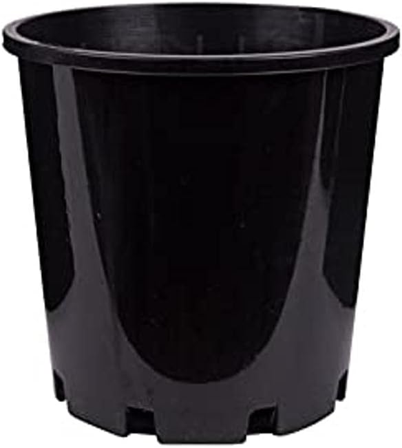 Decor Growers Indoor Seedling Plant Pot, Black, 200 Mm Size
