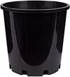 Decor Growers Indoor Seedling Plant Pot, Black, 200 Mm Size