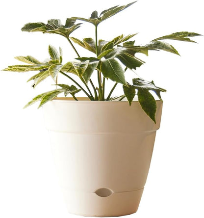 Northcote Pottery ‘Leonard’ Self-Watering Pot –White (20 × 18 cm)