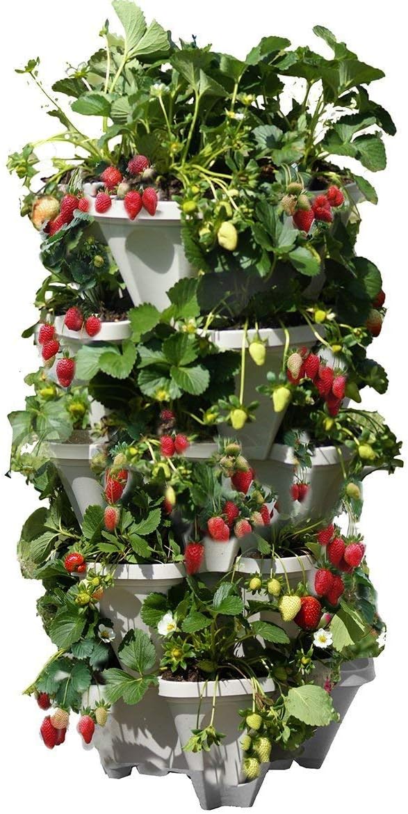 Mr Stacky 5 Tier Vertical Garden Planter – Medium