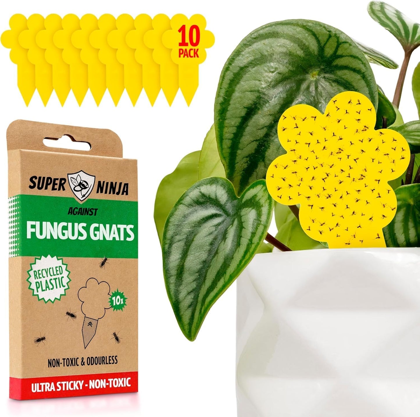 Fungus Gnat Killer - 30 Pack, Effective Gnat Killer for Indoor Plants