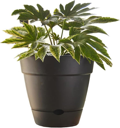 Leonard Self-Watering Pot, 20 X 18 Cm Size, Black