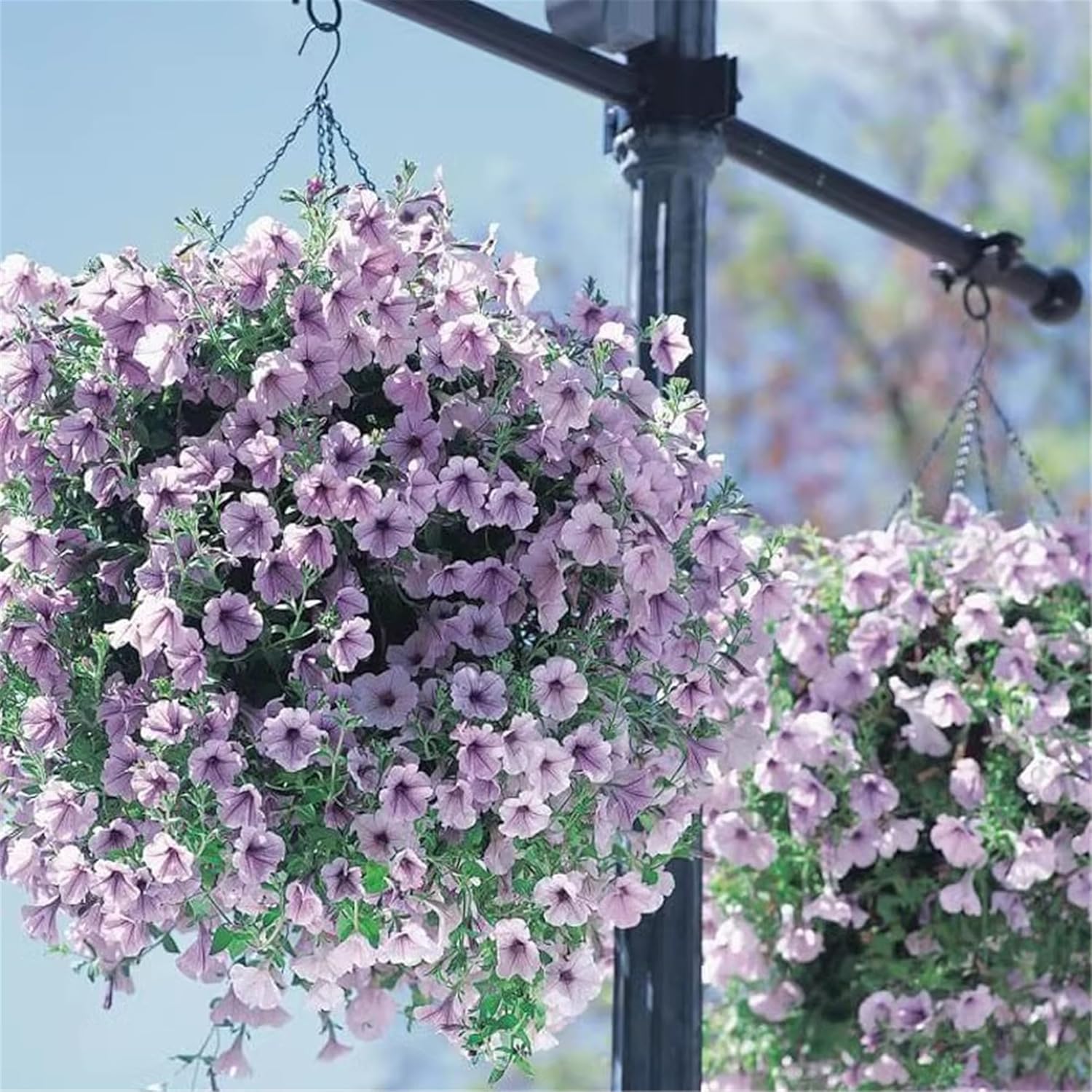 4 Pack 10" Metal Hanging Baskets with Coco Liners – Outdoor & Indoor Planters for Flowers and Gardens