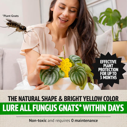 Fungus Gnat Killer - 30 Pack, Effective Gnat Killer for Indoor Plants
