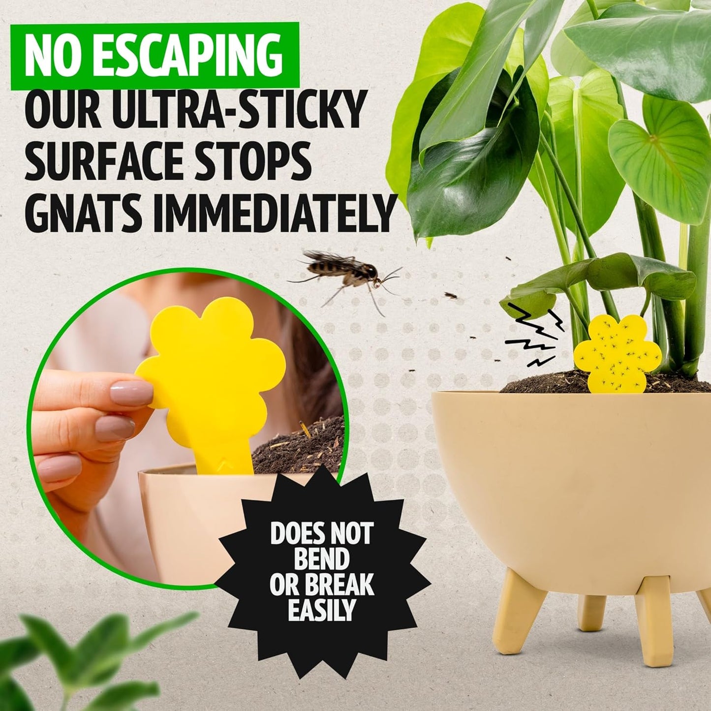 Fungus Gnat Killer - 30 Pack, Effective Gnat Killer for Indoor Plants