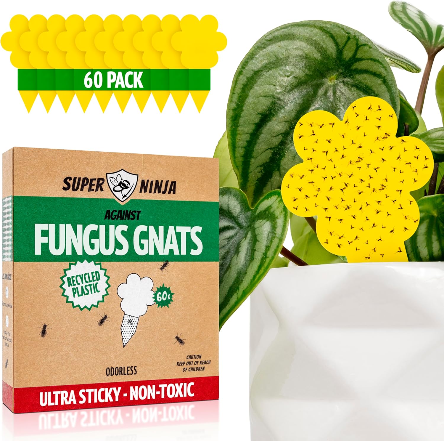 Fungus Gnat Killer - 30 Pack, Effective Gnat Killer for Indoor Plants