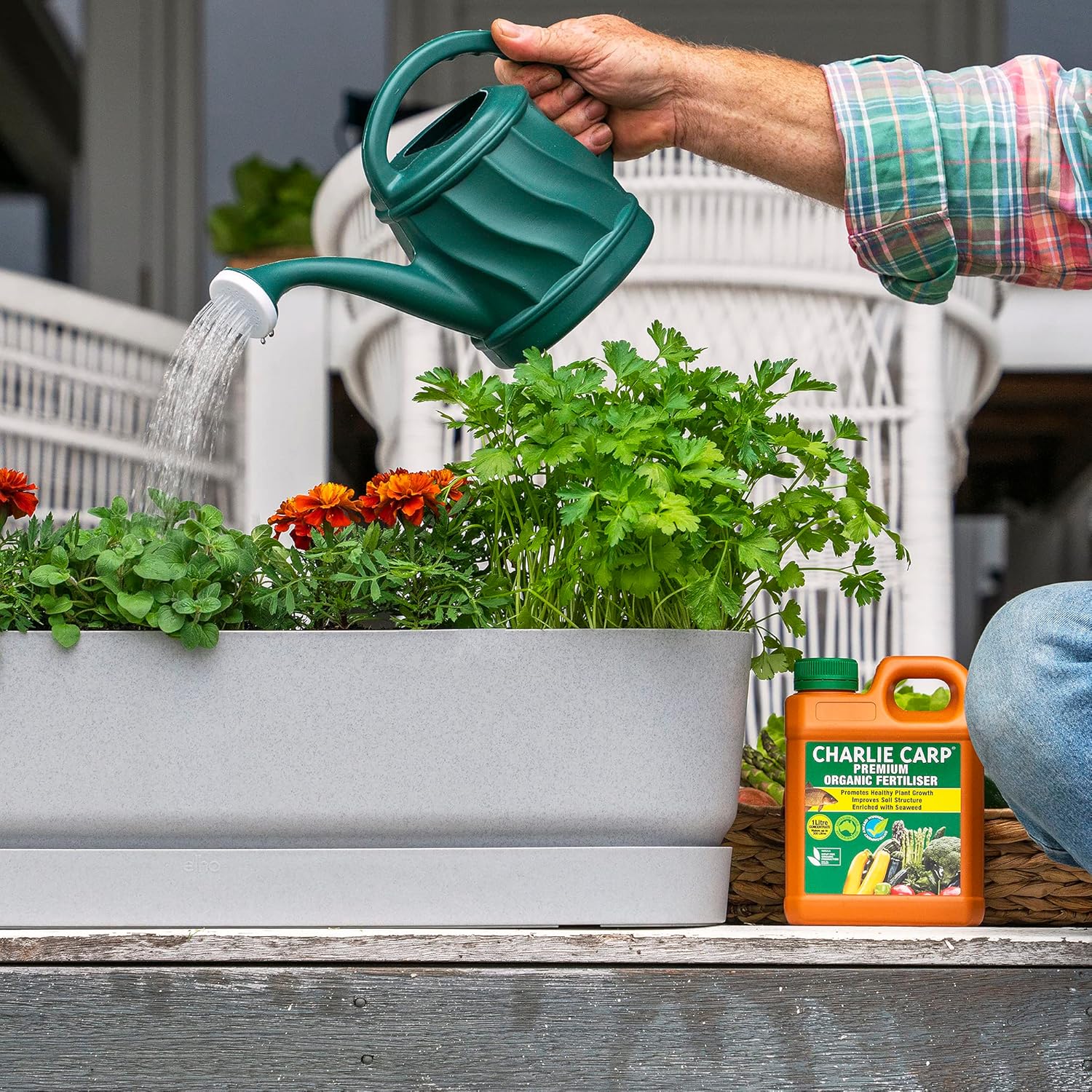  Charlie Carp Organic Liquid Fertiliser 1L – Concentrated All-Purpose Formula