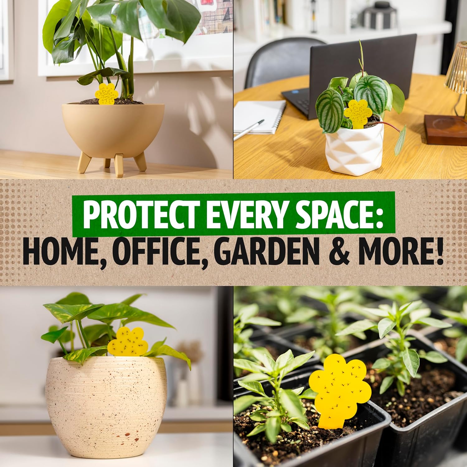 Fungus Gnat Killer - 30 Pack, Effective Gnat Killer for Indoor Plants