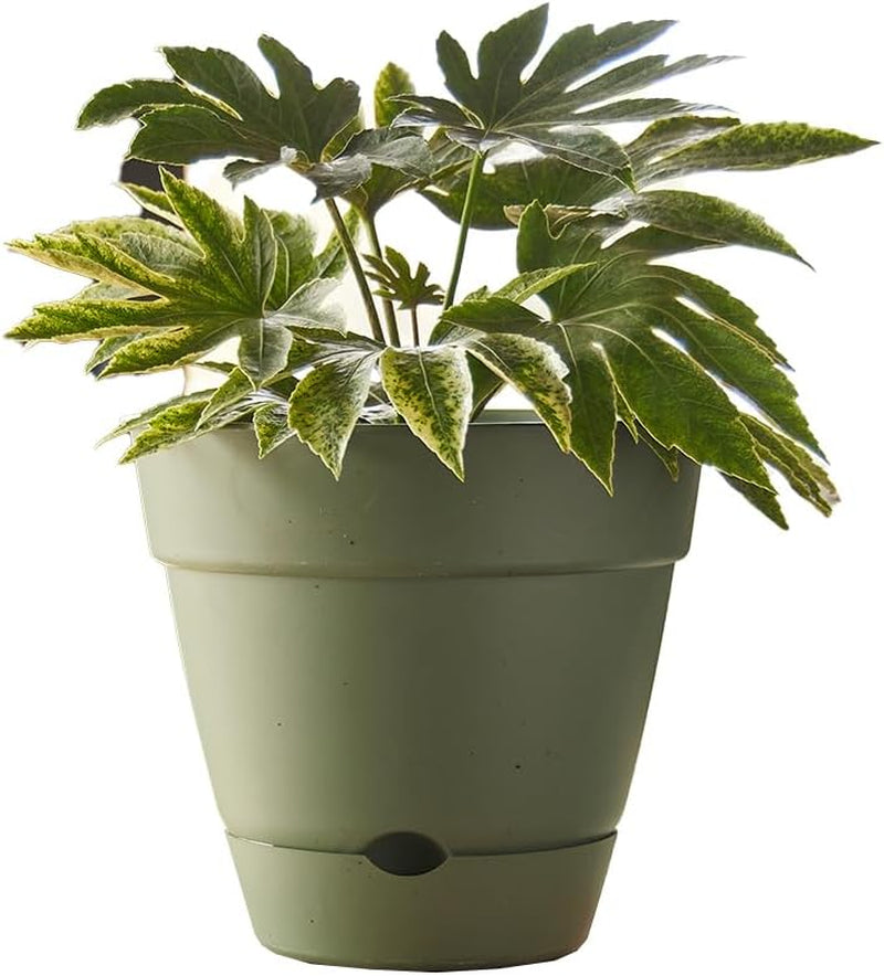 Leonard Self-Watering Pot, 20 X 18 Cm Size, Green