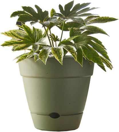 Leonard Self-Watering Pot, 20 X 18 Cm Size, Green