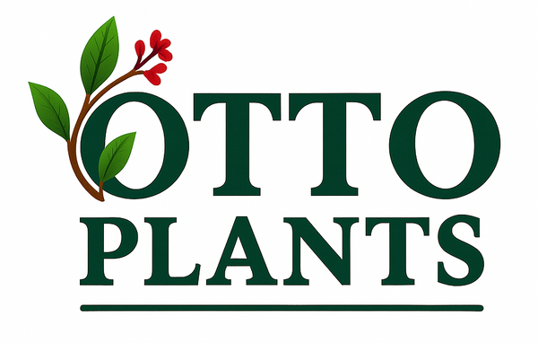 Otto Plants